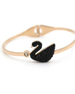 ΒΡΑΧΙΟΛΙ ΜΕ ΜΑΥΡΗ ΠΑΠΙΑ ΑΠΟ ΑΤΣΑΛΙ vraxioli me mayrh papia apo atsali