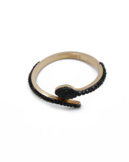 ΔΑΧΤΥΛΙΔΙ ΦΙΔΙ ΜΕ ΜΑΥΡΑ ΖΙΡΓΚΟΝ ΑΠΟ ΑΤΣΑΛΙ daxtilidi fidi me mayra zirgkon apo atsali