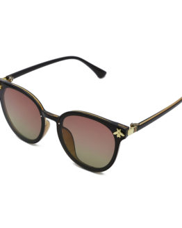 ΓΥΝΑΙΚΕΙΑ ΓΥΑΛΙΑ ΗΛΙΟΥ ΚΑΦΕ ΣΚΟΥΡΟ ΜΕ ΚΑΦΕ ΦΑΚΟΥΣ gynaikeia gyalia hlioy kafe skoyro me kafe fakoys