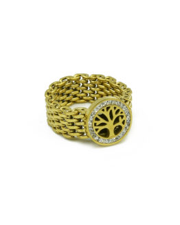 gynaikeio daxtilidi me to dentro tis zois