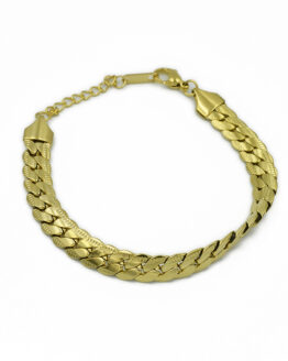 ΒΡΑΧΙΟΛΙ ΑΛΥΣΙΔΑ ΑΠΟ ΑΤΣΑΛΙ vraxioli alysida apo atsali